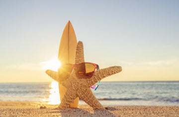 What are polarised sunglasses