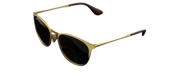 Ray-Ban Erika Metal Matte Gold Sunglasses RB3539 112/T5