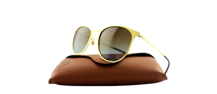 Ray-Ban Erika Metal Matte Gold Sunglasses RB3539 112/T5