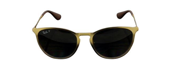 Ray-Ban Erika Metal Matte Gold Sunglasses RB3539 112/T5