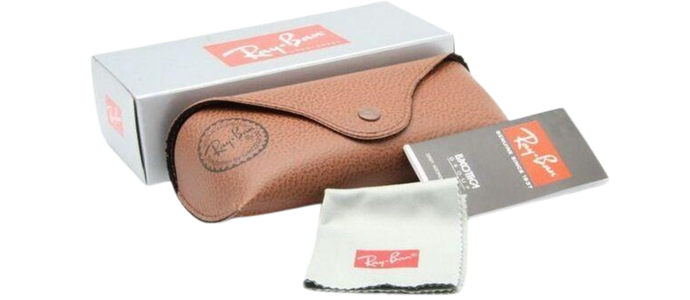 Ray-Ban Erika Unisex Sunglasses RB 4171 6340F7