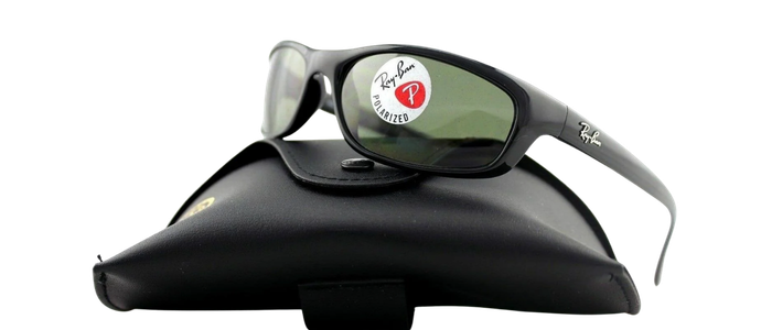 Ray-Ban Polarized Predator Unisex Sunglasses RB 4115 601/9A