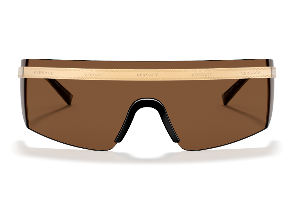 Versace Everywhere Unisex Sunglasses VE 2208 10023G 1