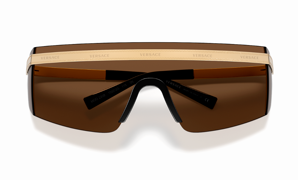 Versace Everywhere Unisex Sunglasses VE 2208 10023G 2