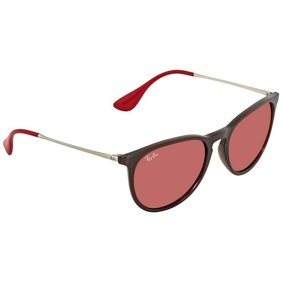 Ray-Ban Erika Unisex Sunglasses RB 4171 6339D0