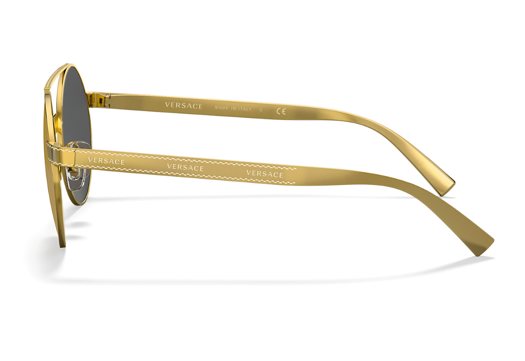 Versace Everywhere Unisex Sunglasses VE 2210 14557P 2