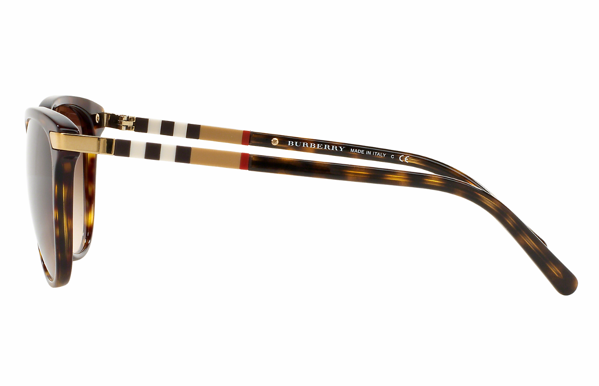 Burberry Women's Sunglasses BE 4216 3002/13 3