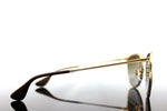 Ray-Ban Erika Metal Matte Gold Sunglasses RB3539 112/T5