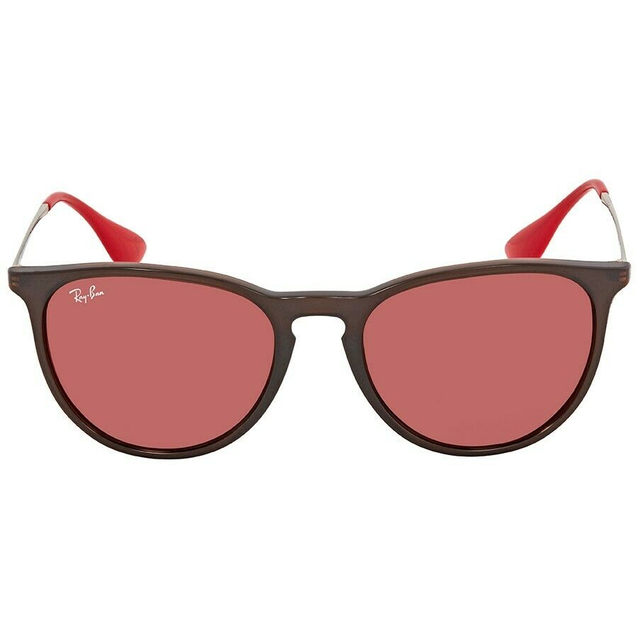 Ray-Ban Erika Unisex Sunglasses RB 4171 6339D0 2