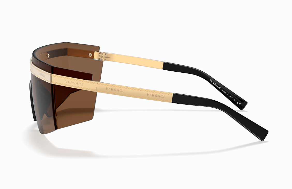 Versace Everywhere Unisex Sunglasses VE 2208 10023G 6